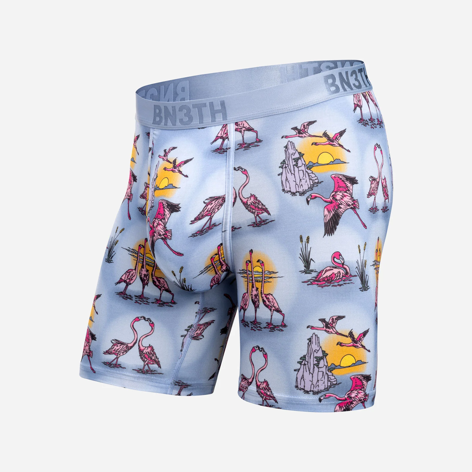 Classic Icon Boxer Brief: Sunset Flock - Forever
