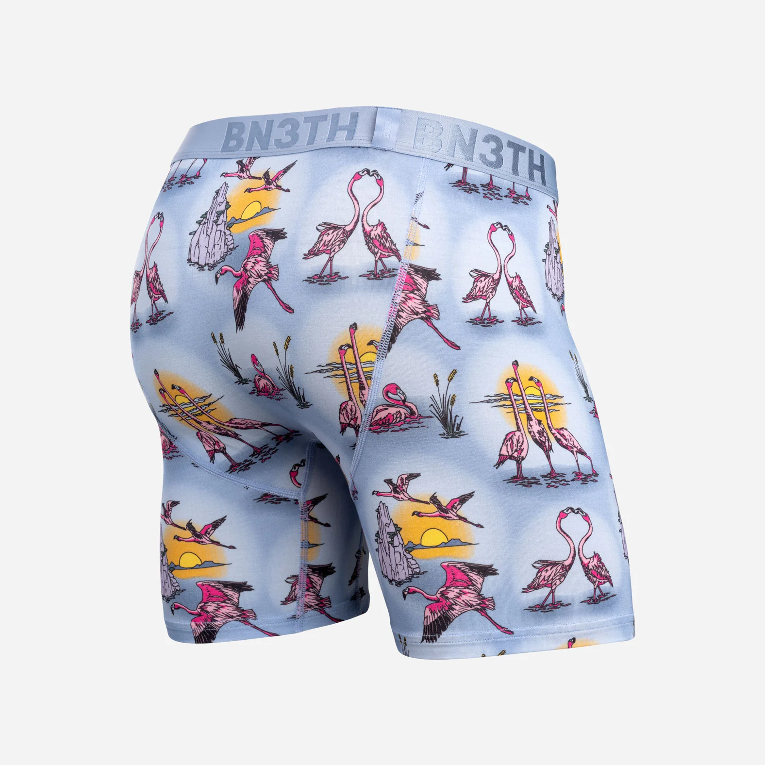Classic Icon Boxer Brief: Sunset Flock - Forever - Image 3