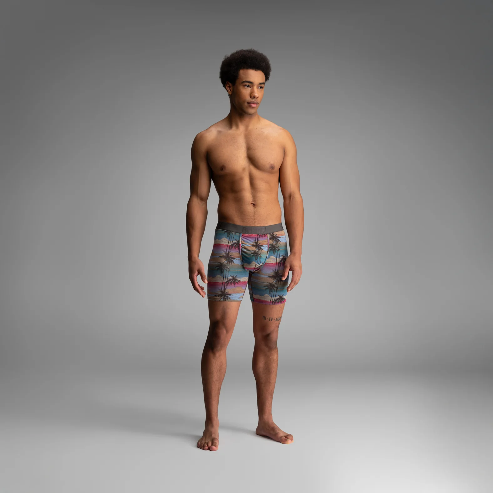 Classic Icon Boxer Brief With Fly : Palm Tree Horizon - Heather - Image 4